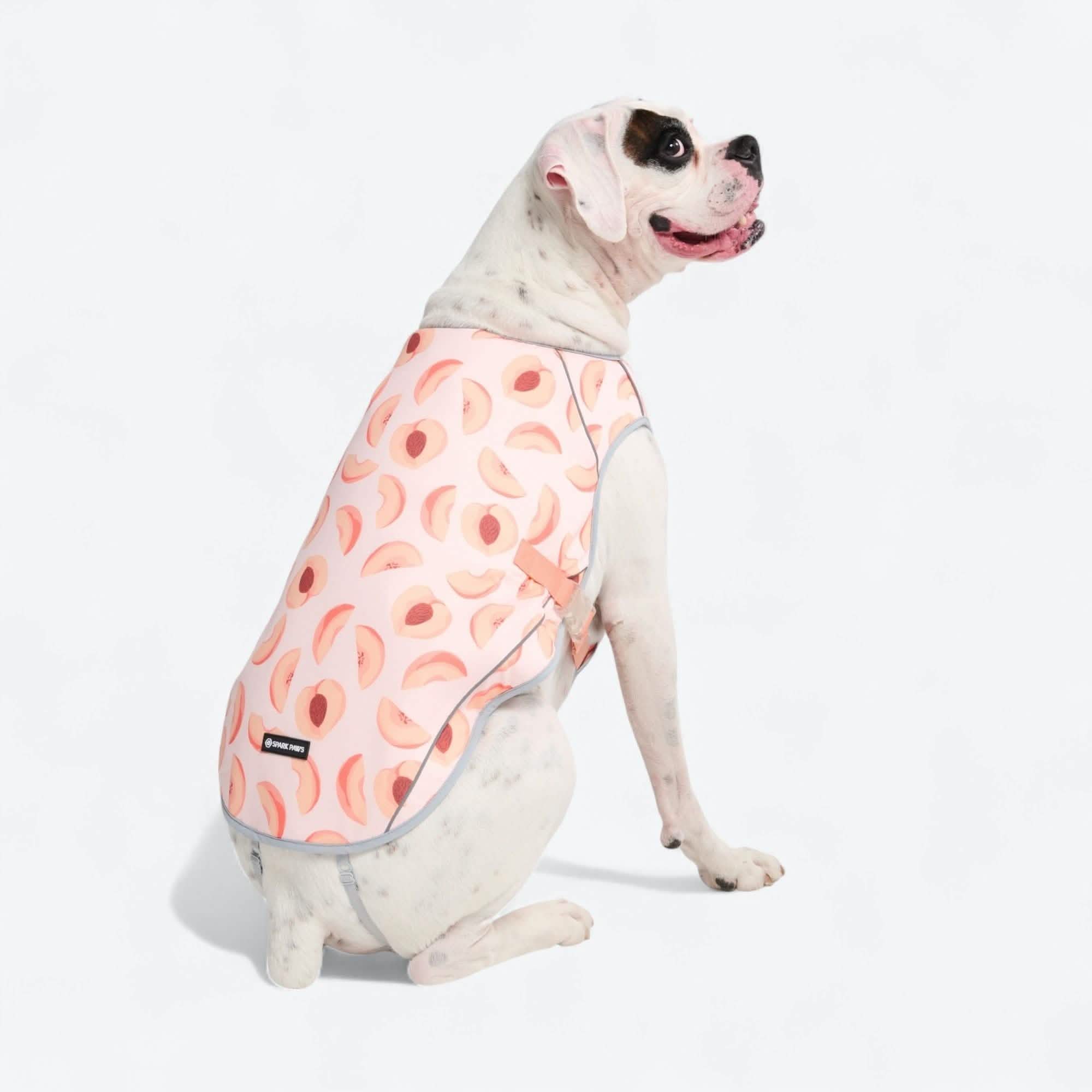 Dog Cooling Vest - Peaches