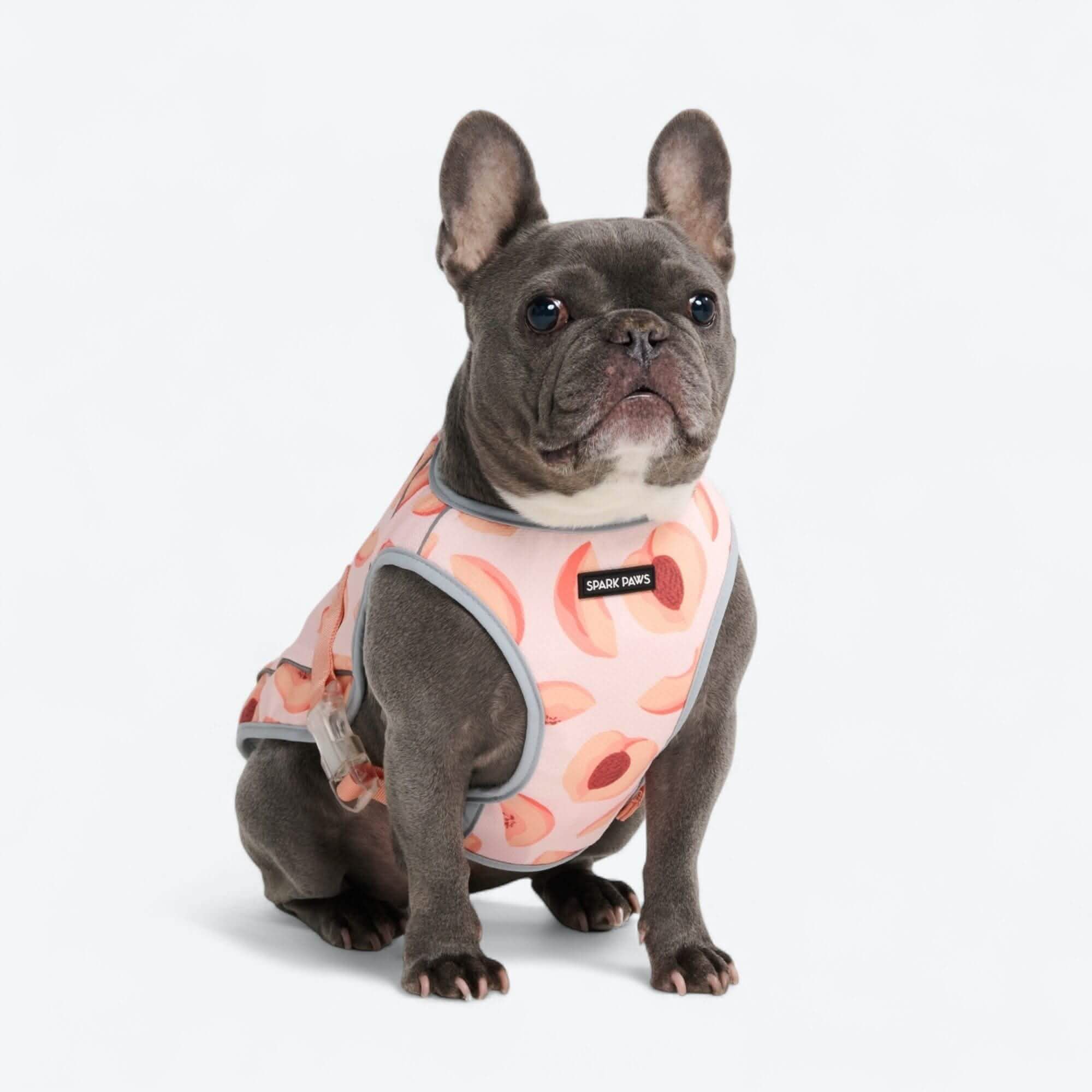 Chilltech™ Dog Cooling Vests