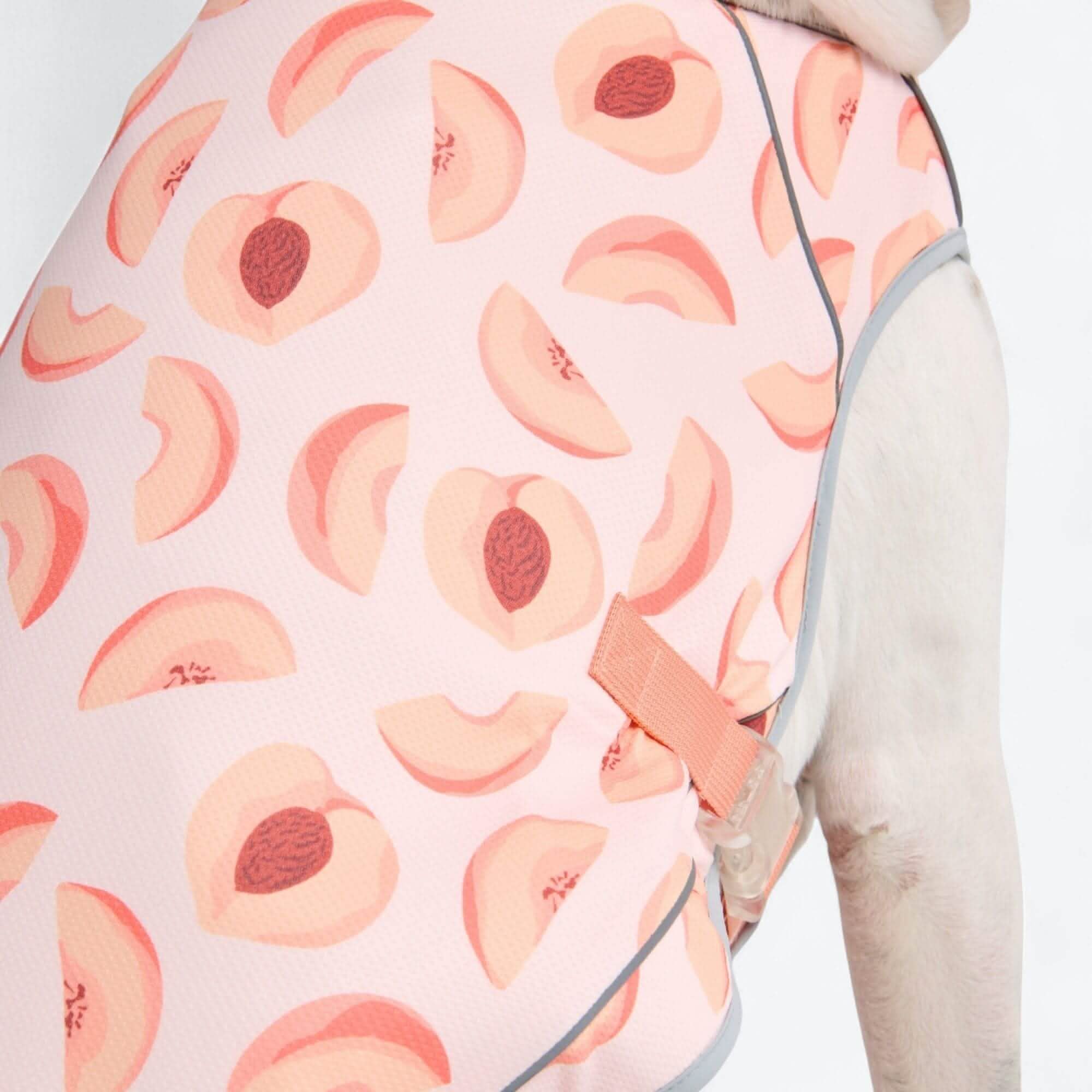 Chilltech™ Dog Cooling Vests