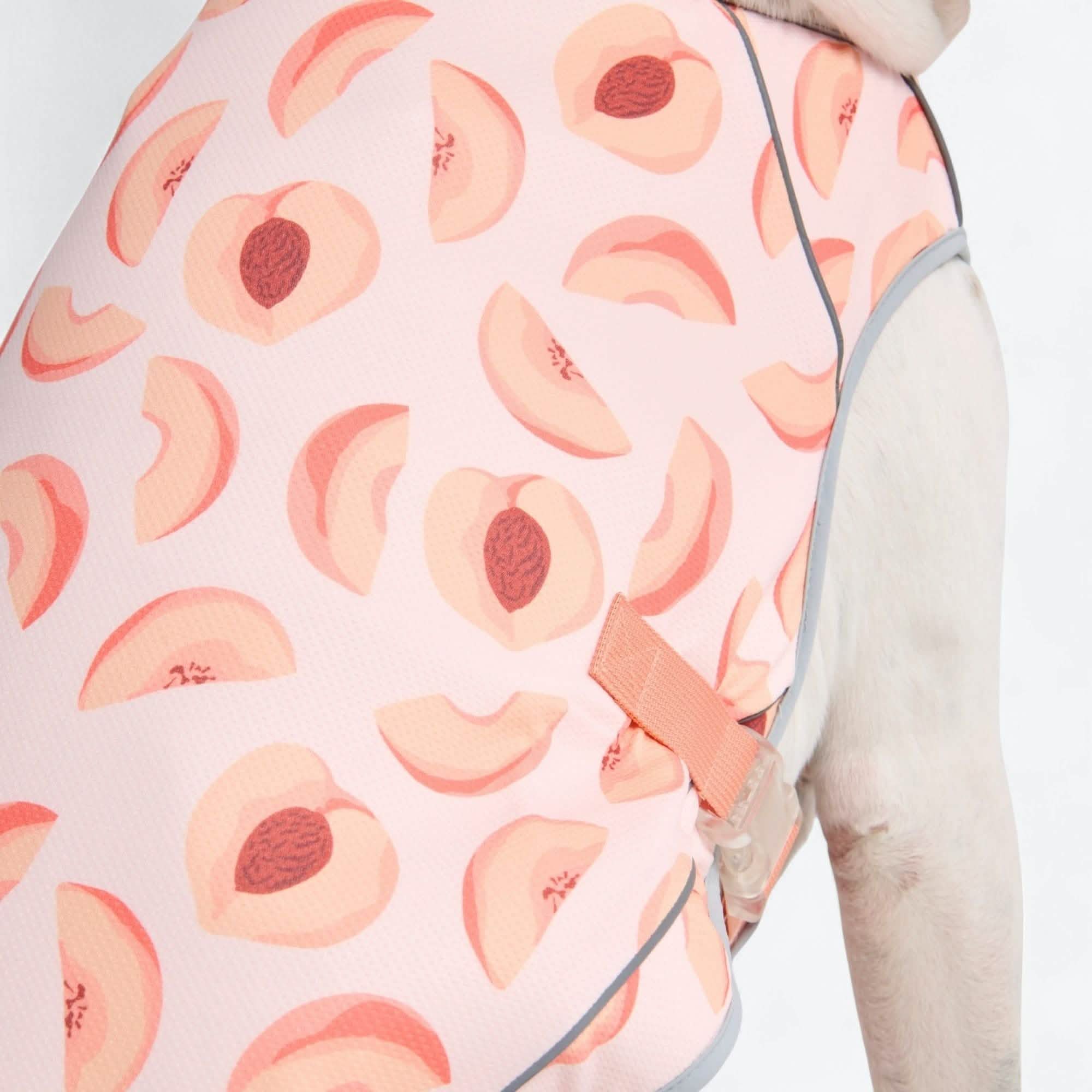 Dog Cooling Vest - Peaches
