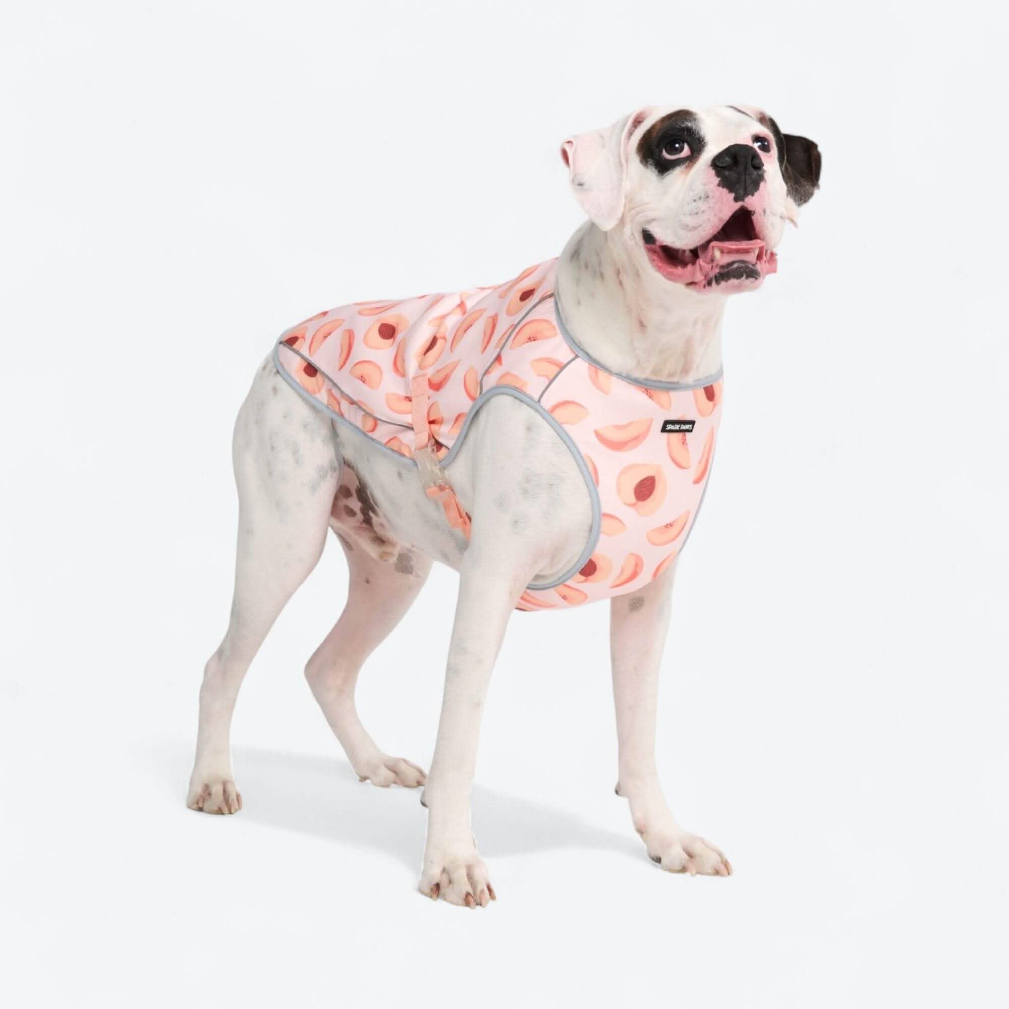 Chilltech™ Dog Cooling Vests