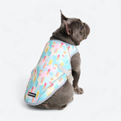Dog Cooling Vest - Popsicles