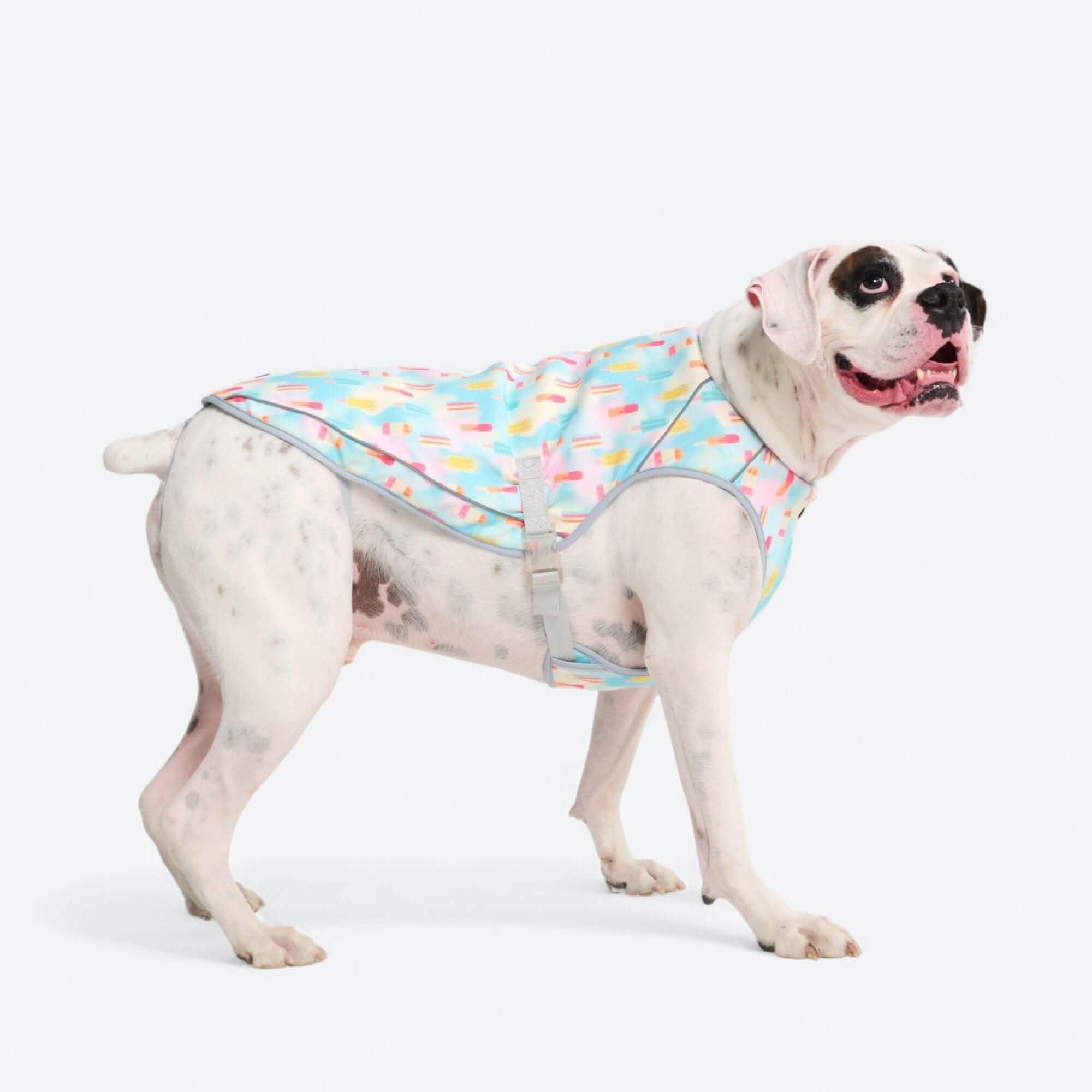 Chilltech™ Dog Cooling Vests