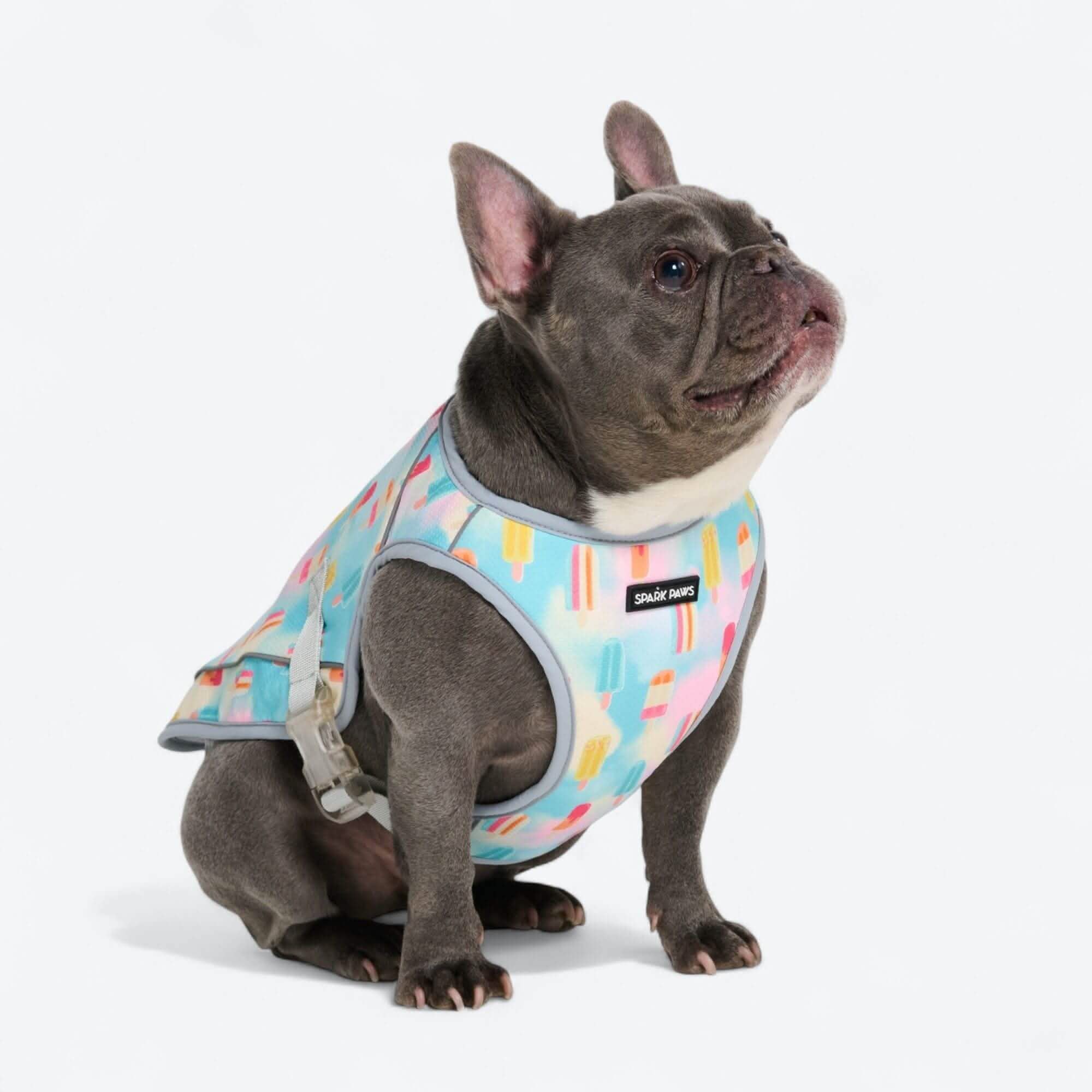 Chilltech™ Dog Cooling Vests