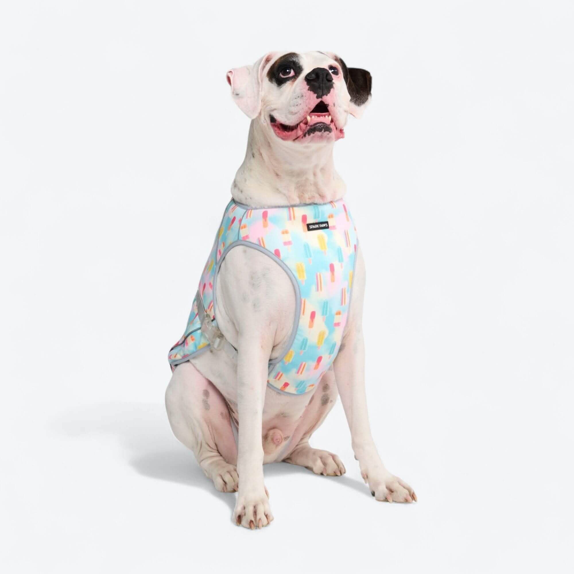 Chilltech™ Dog Cooling Vests