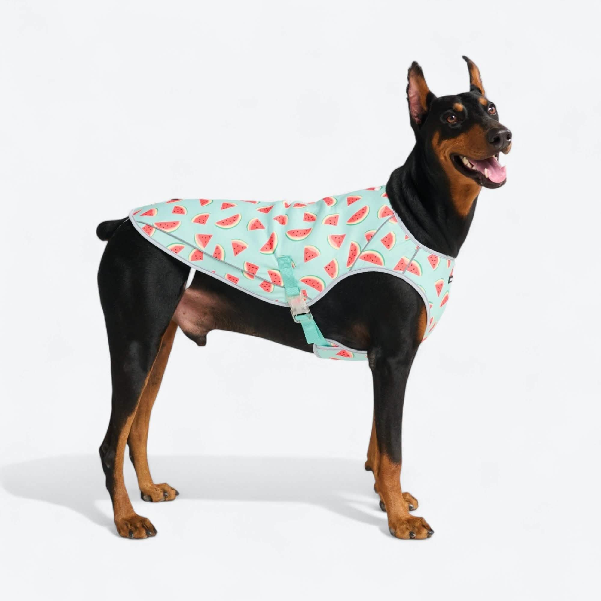 Chilltech™ Dog Cooling Vests
