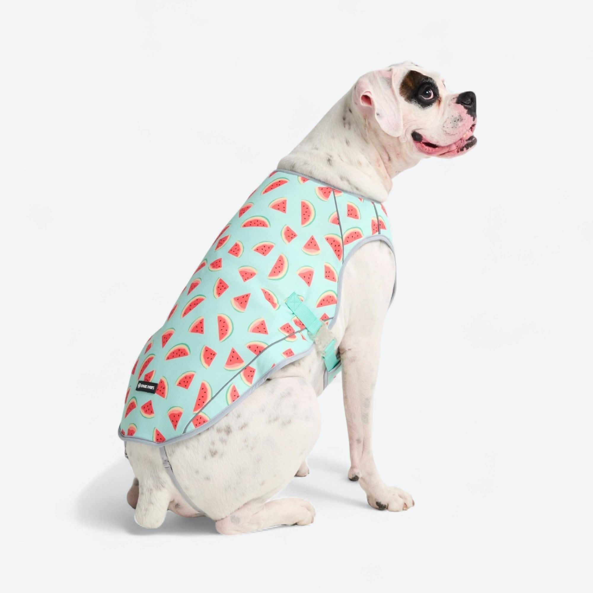 Dog Cooling Vest - Watermelon