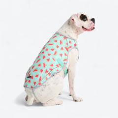 Dog Cooling Vest - Watermelon