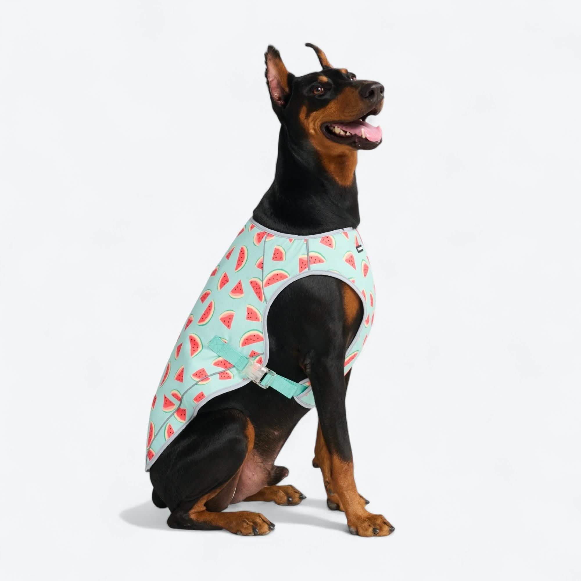 Chilltech™ Dog Cooling Vests