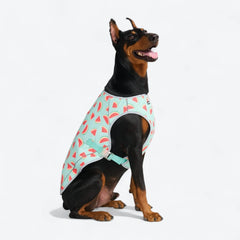 Dog Cooling Vest - Watermelon