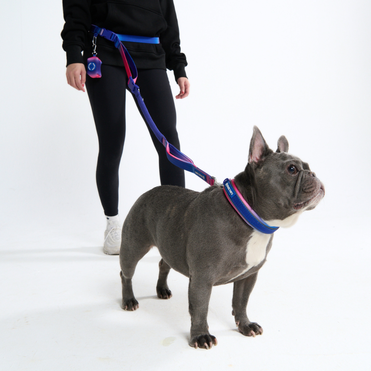 Multipurpose Seatbelt Handsfree Leash & Poop Bag Holder Set