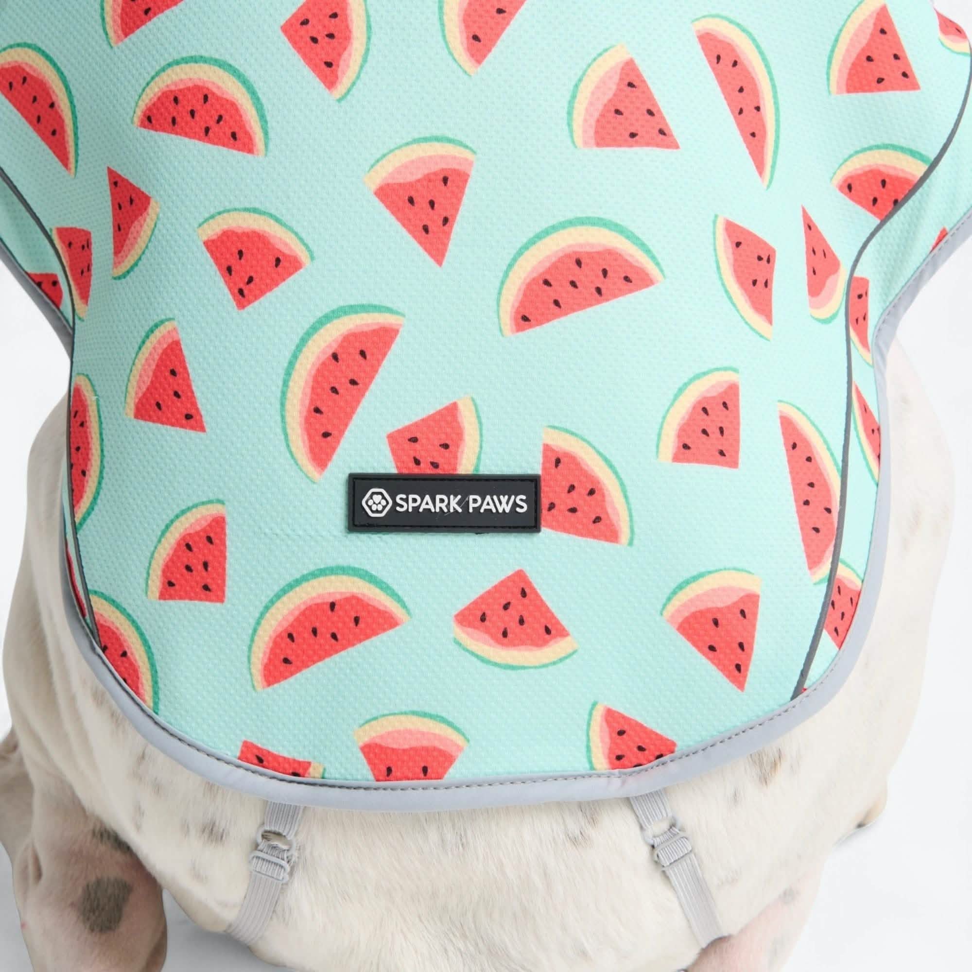Dog Cooling Vest - Watermelon