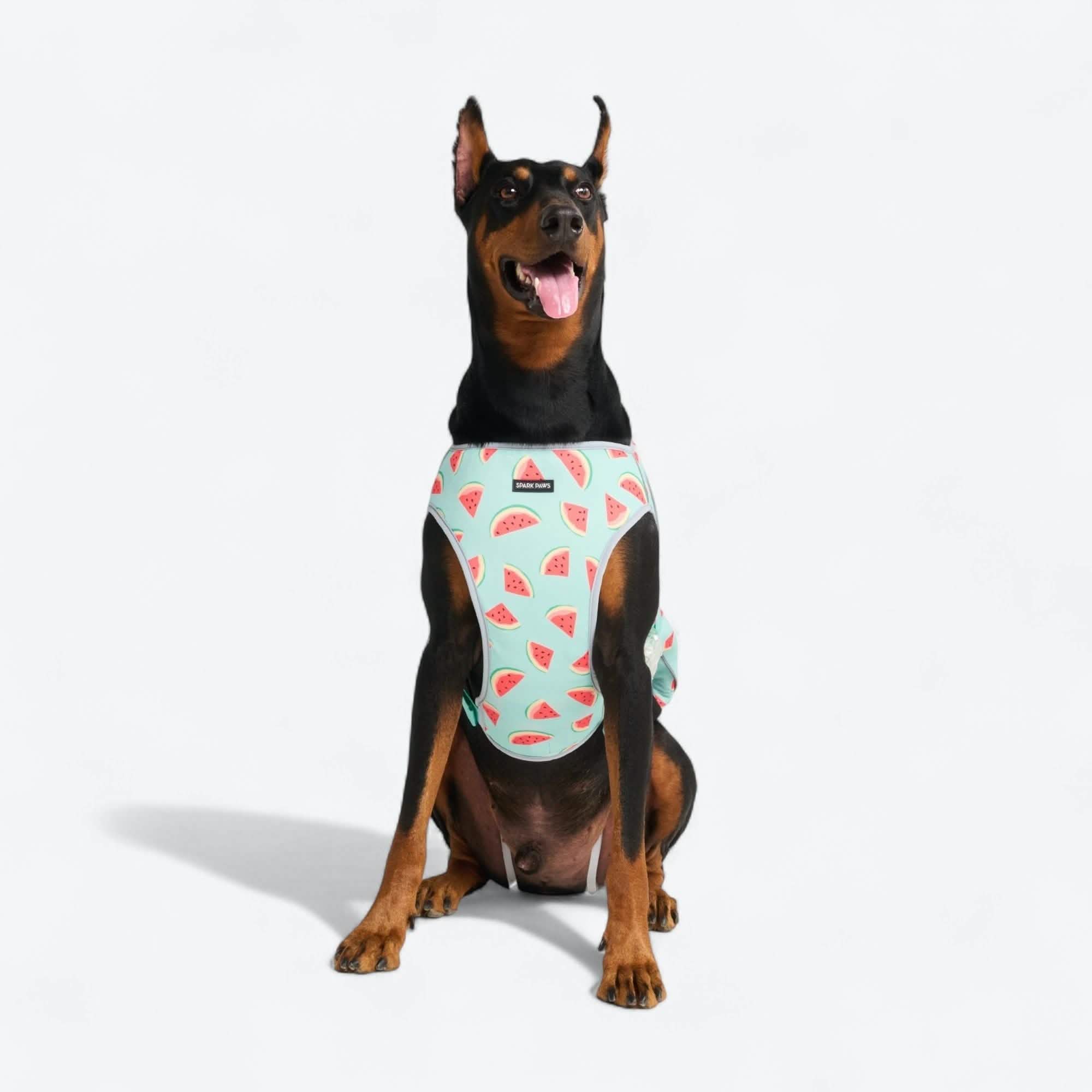 Chilltech™ Dog Cooling Vests