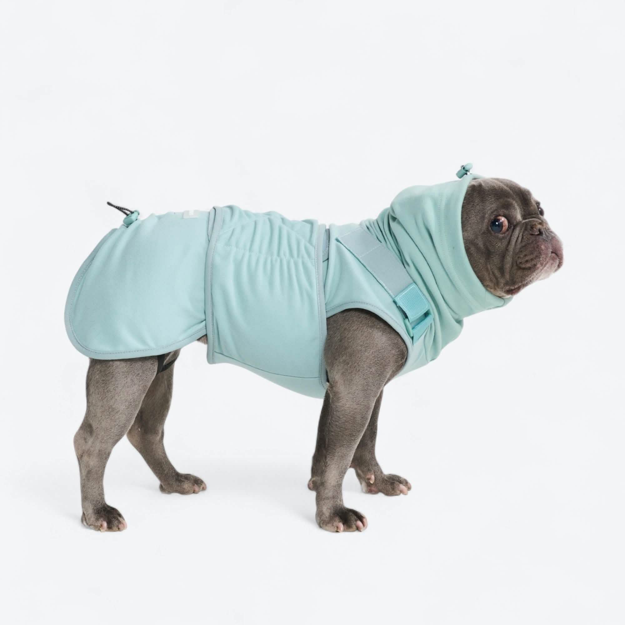 Anxiety Calming Suit