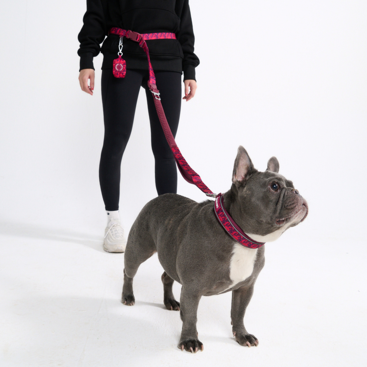 Multipurpose Seatbelt Handsfree Leash & Poop Bag Holder Set