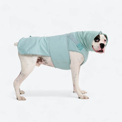 Anxiety Calming Suit - Teal