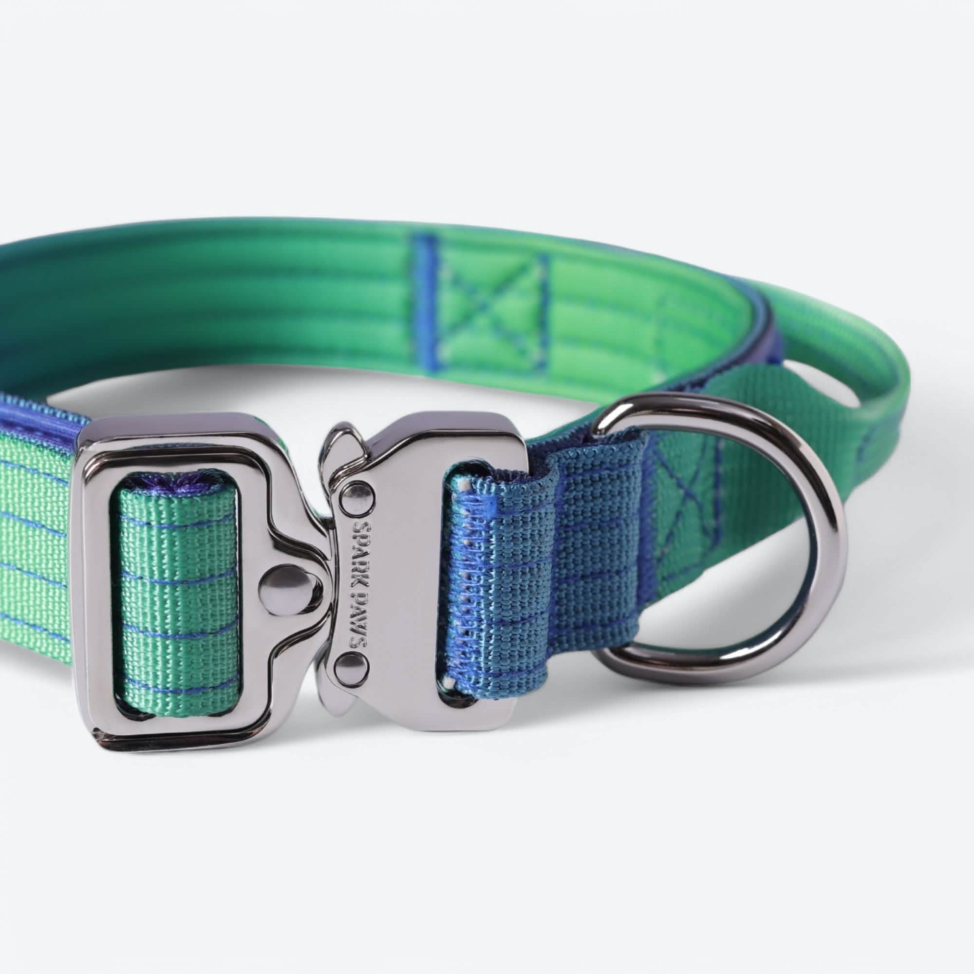 Comfort Control Dog Collar Sets