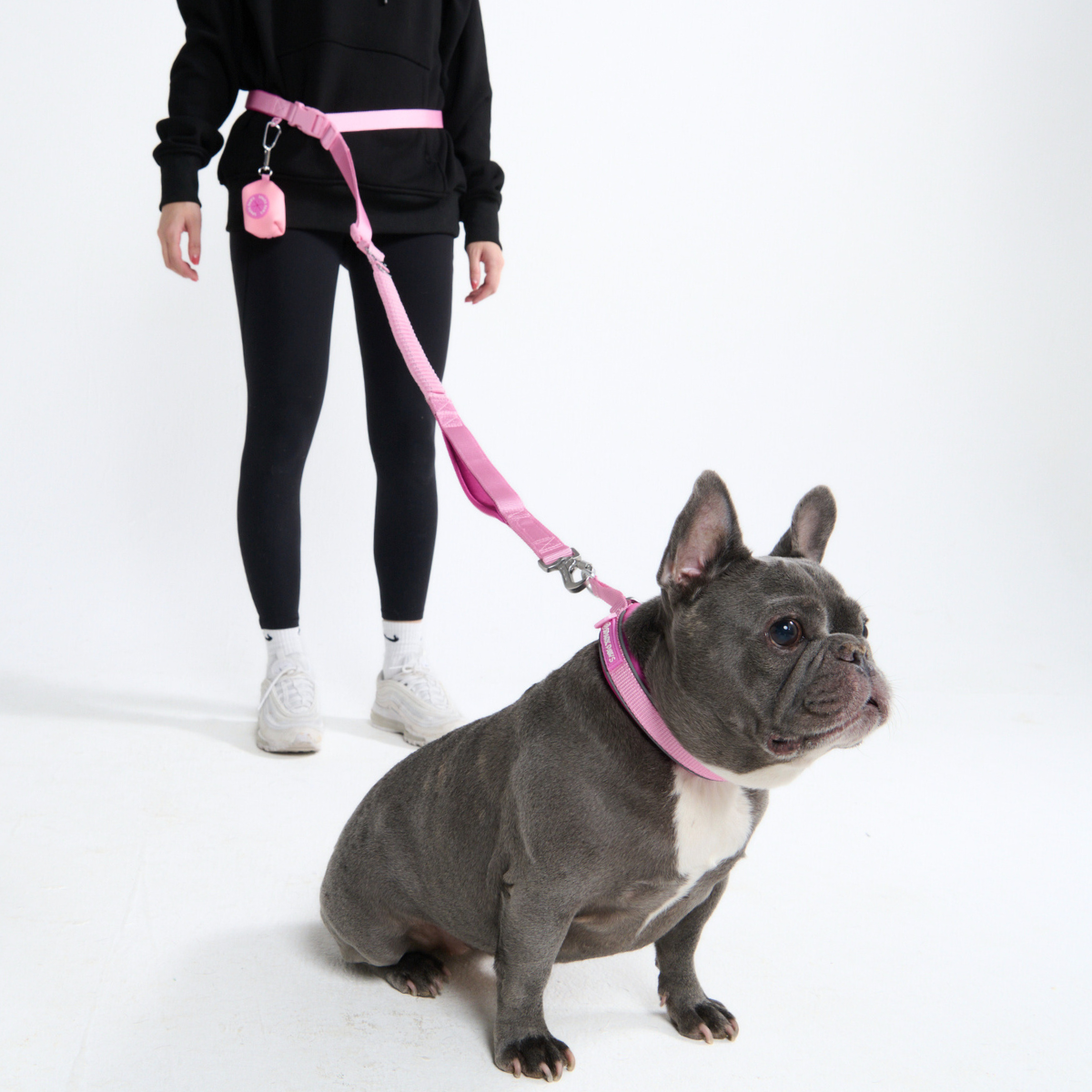 Multipurpose Seatbelt Handsfree Leash & Poop Bag Holder Set