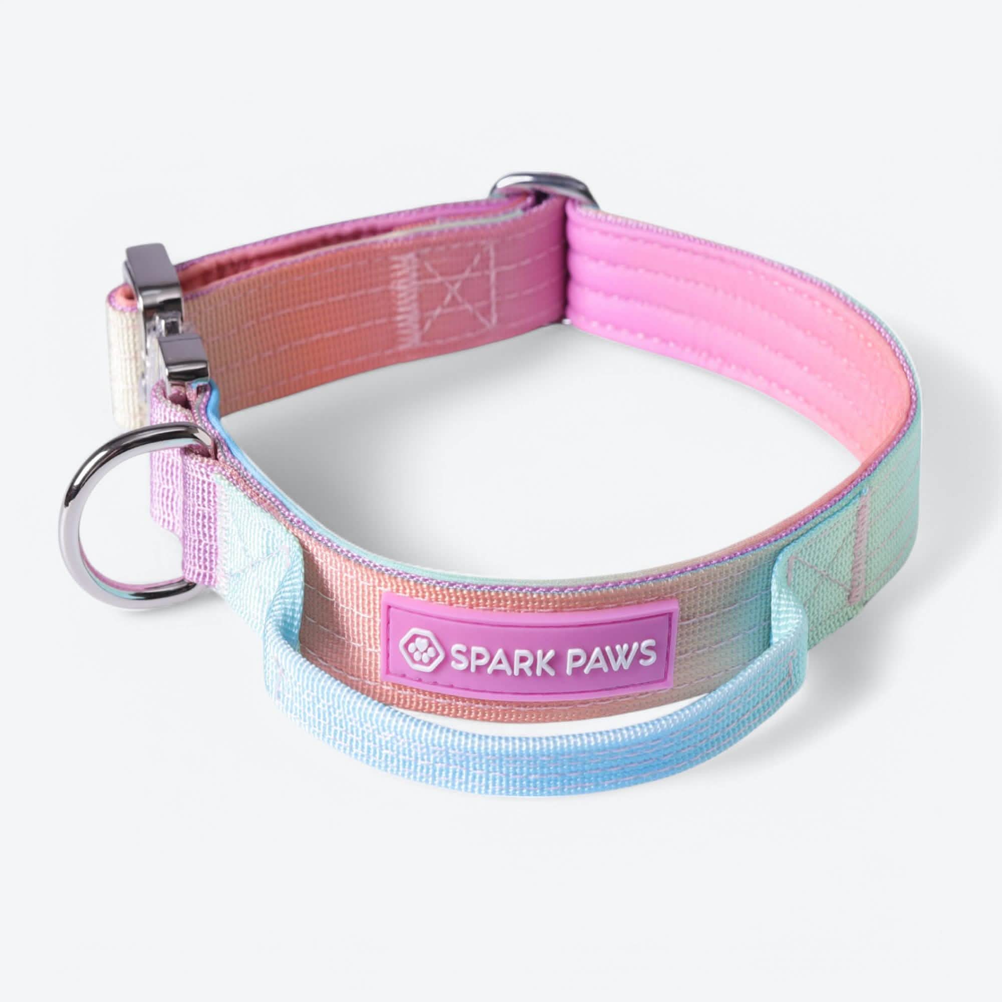 Comfort Control Dog Collar Sets