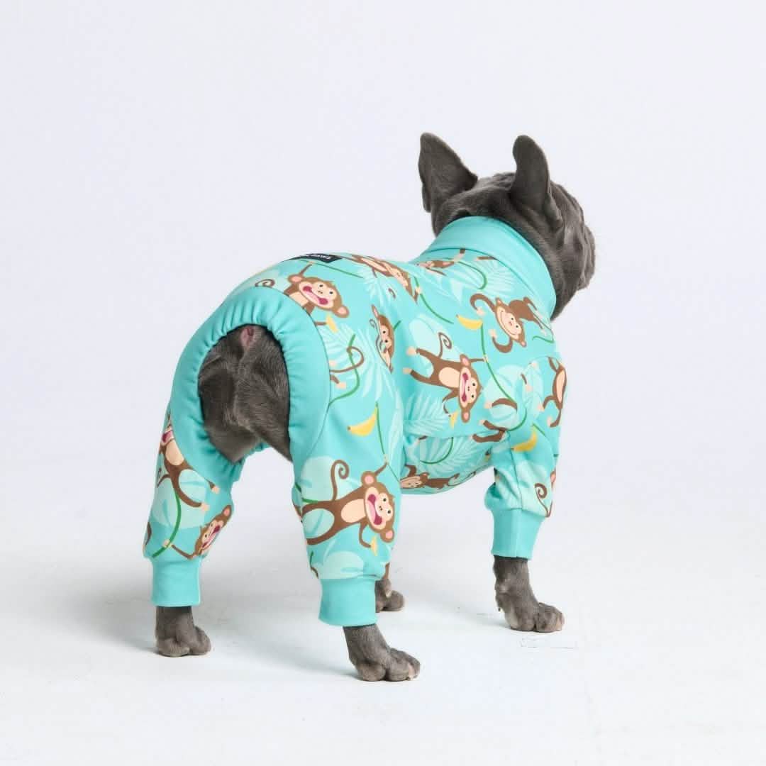 Dog Pajama Prints