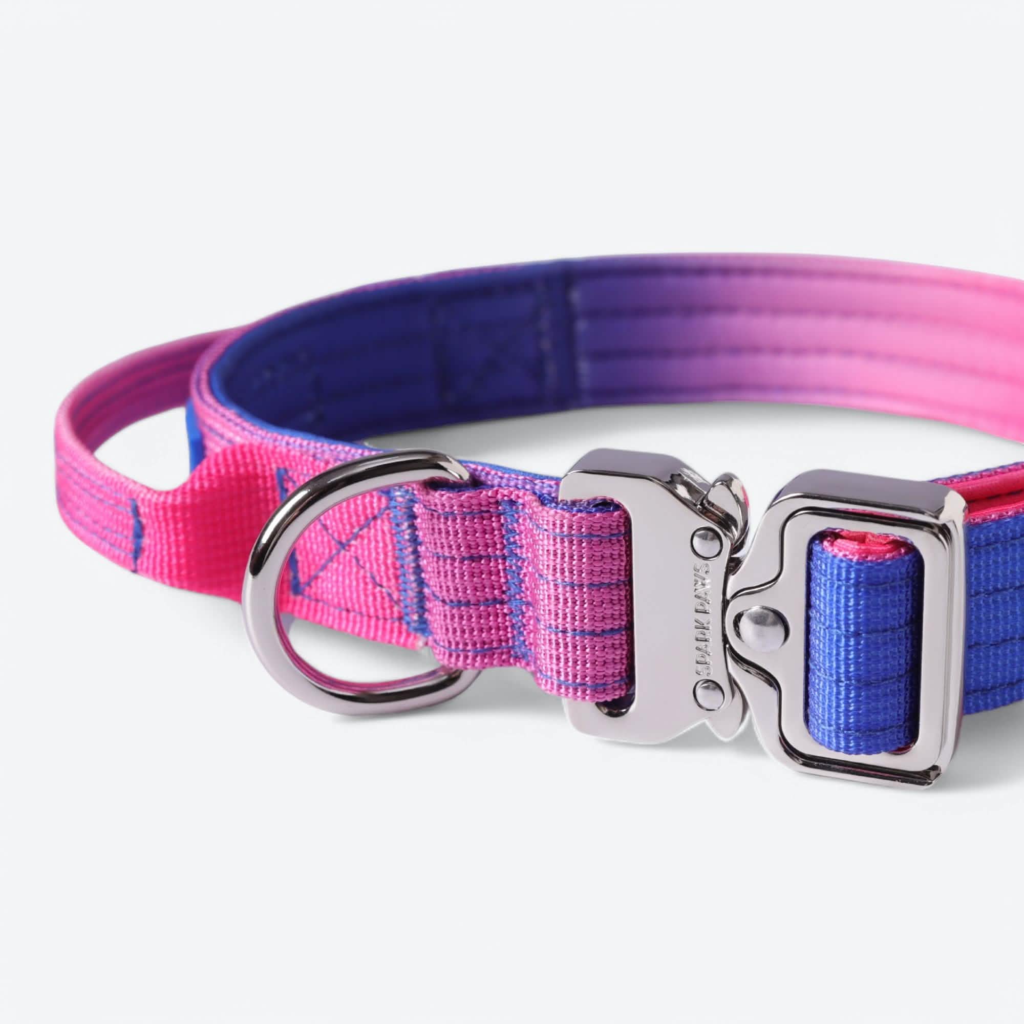 Comfort Control Dog Collar Sets
