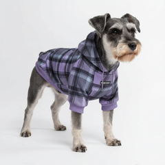 Purple Plaid Dog Hoodie