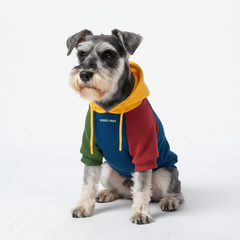 Primary Color Block Dog Hoodie