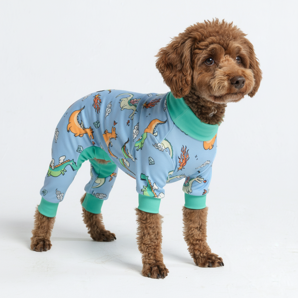 Dog Pajama Prints