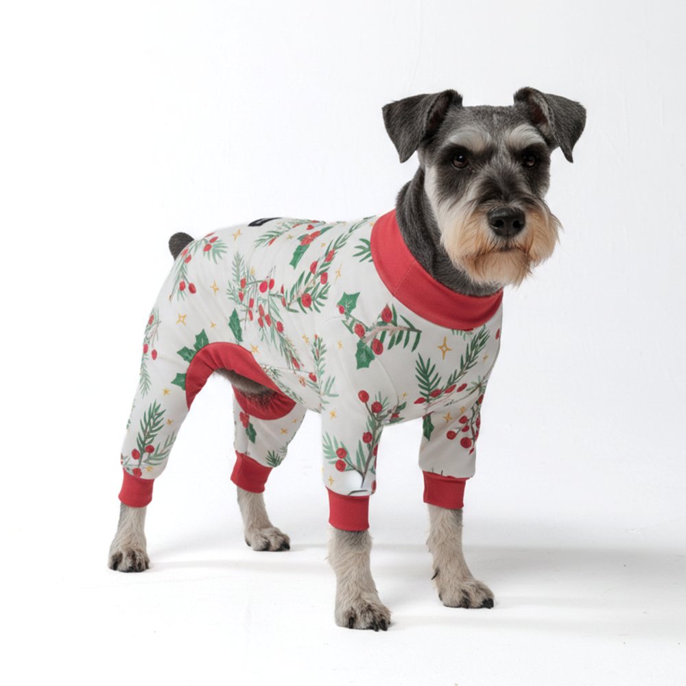 Dog Christmas Pajama - Mistletoe