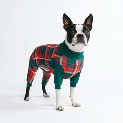 Dog Pajama - Green and Red Plaid