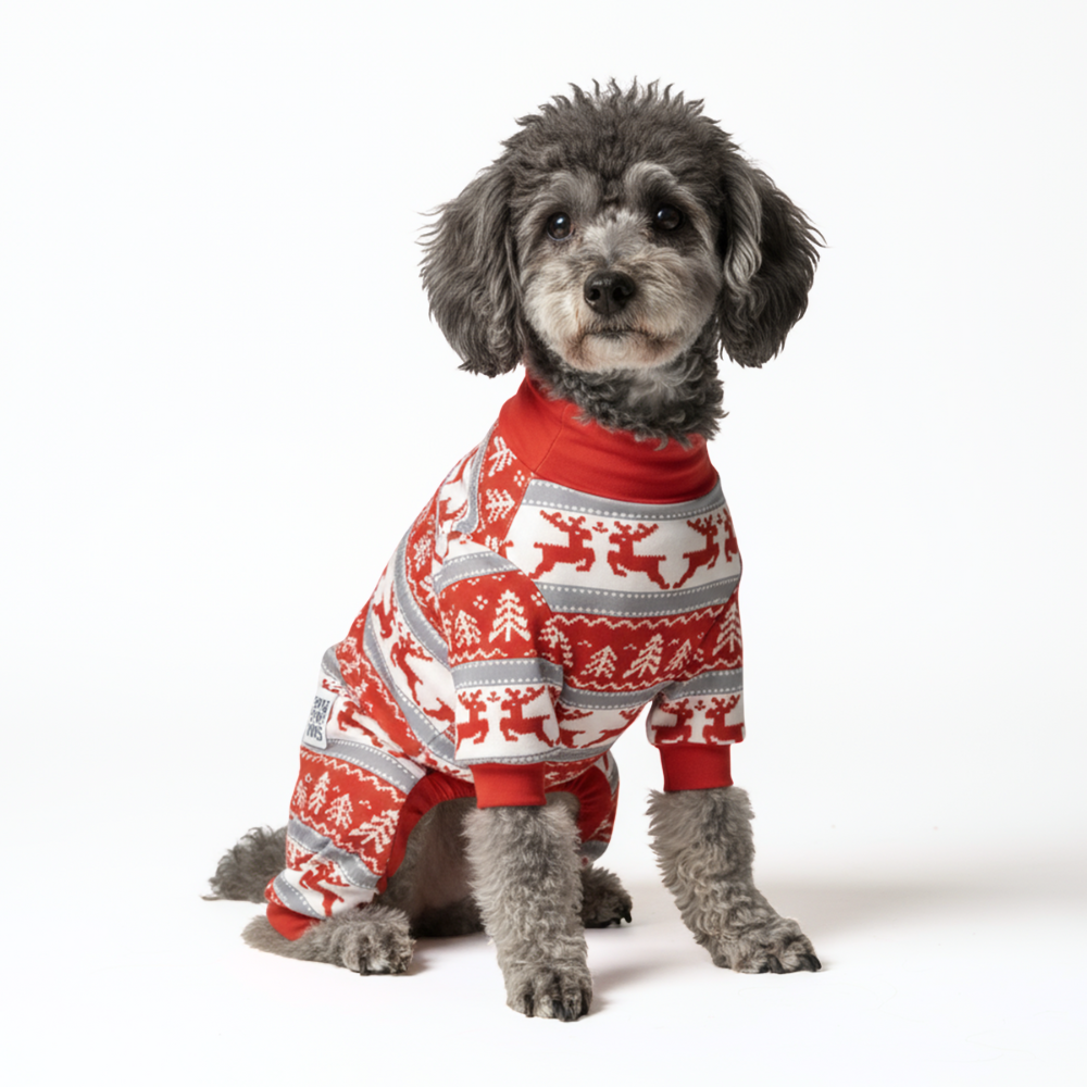 Dog Christmas Pajama - Winter Wonderland