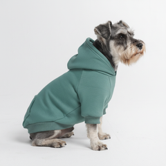 Essential Dog Hoodie - Teal