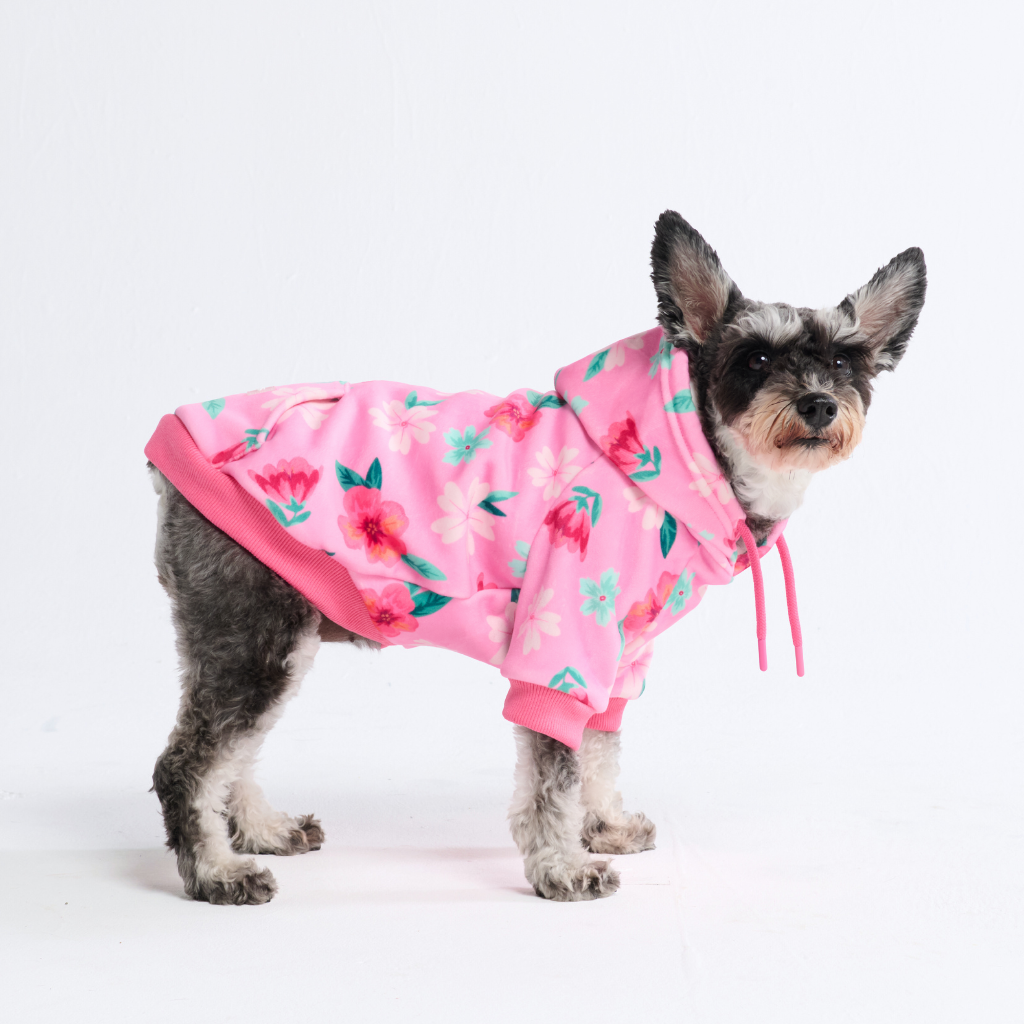 Blossom Dog Hoodie - Pink
