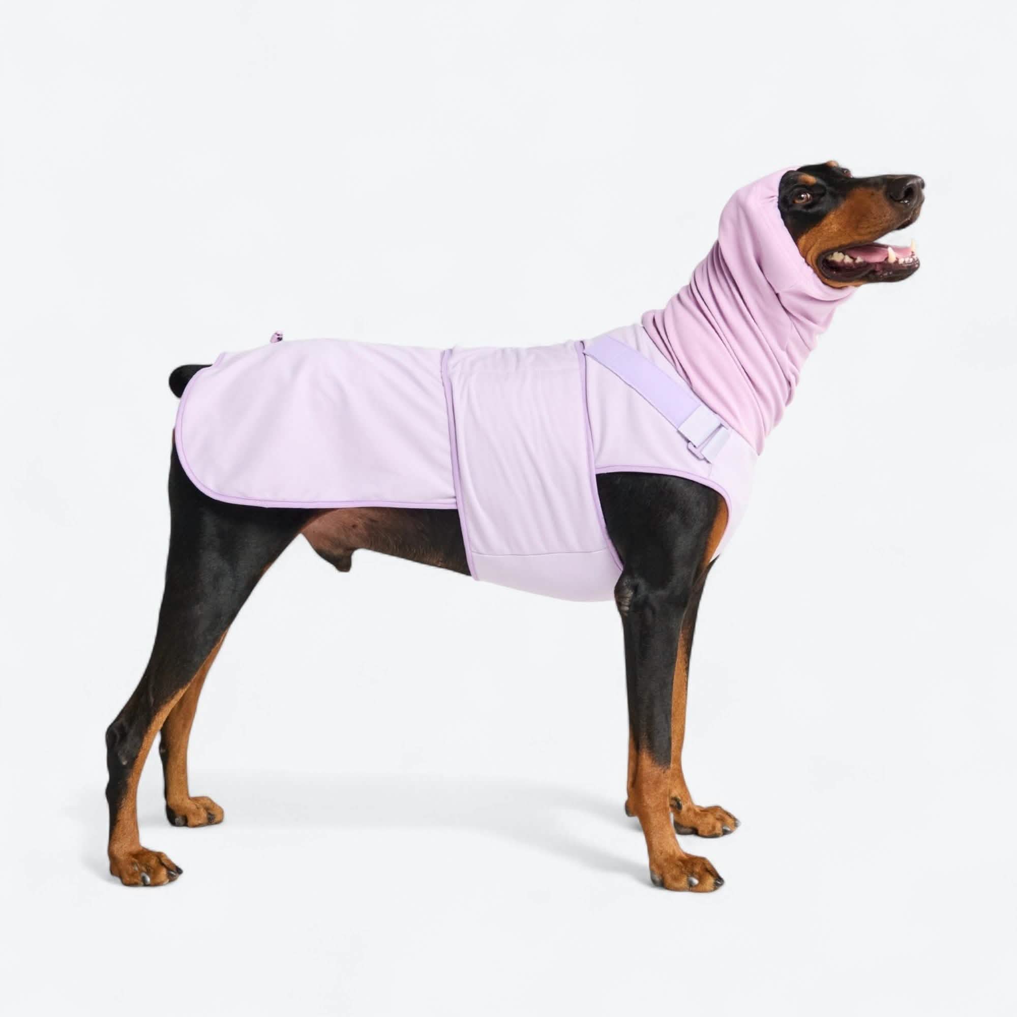 Anxiety Calming Suit