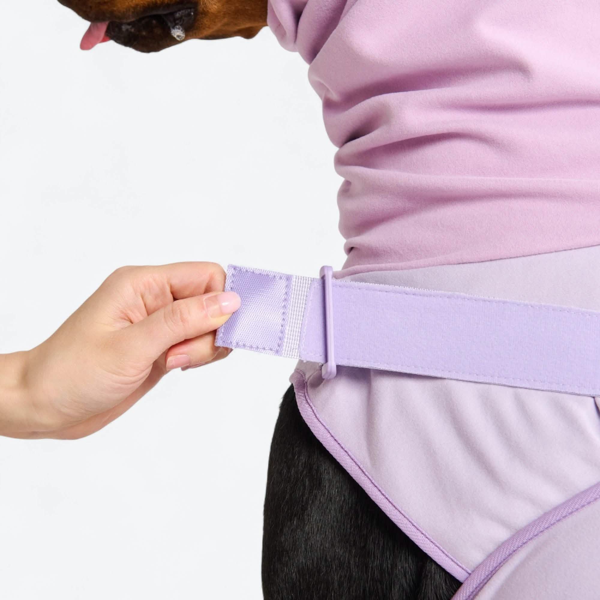 Anxiety Calming Suit