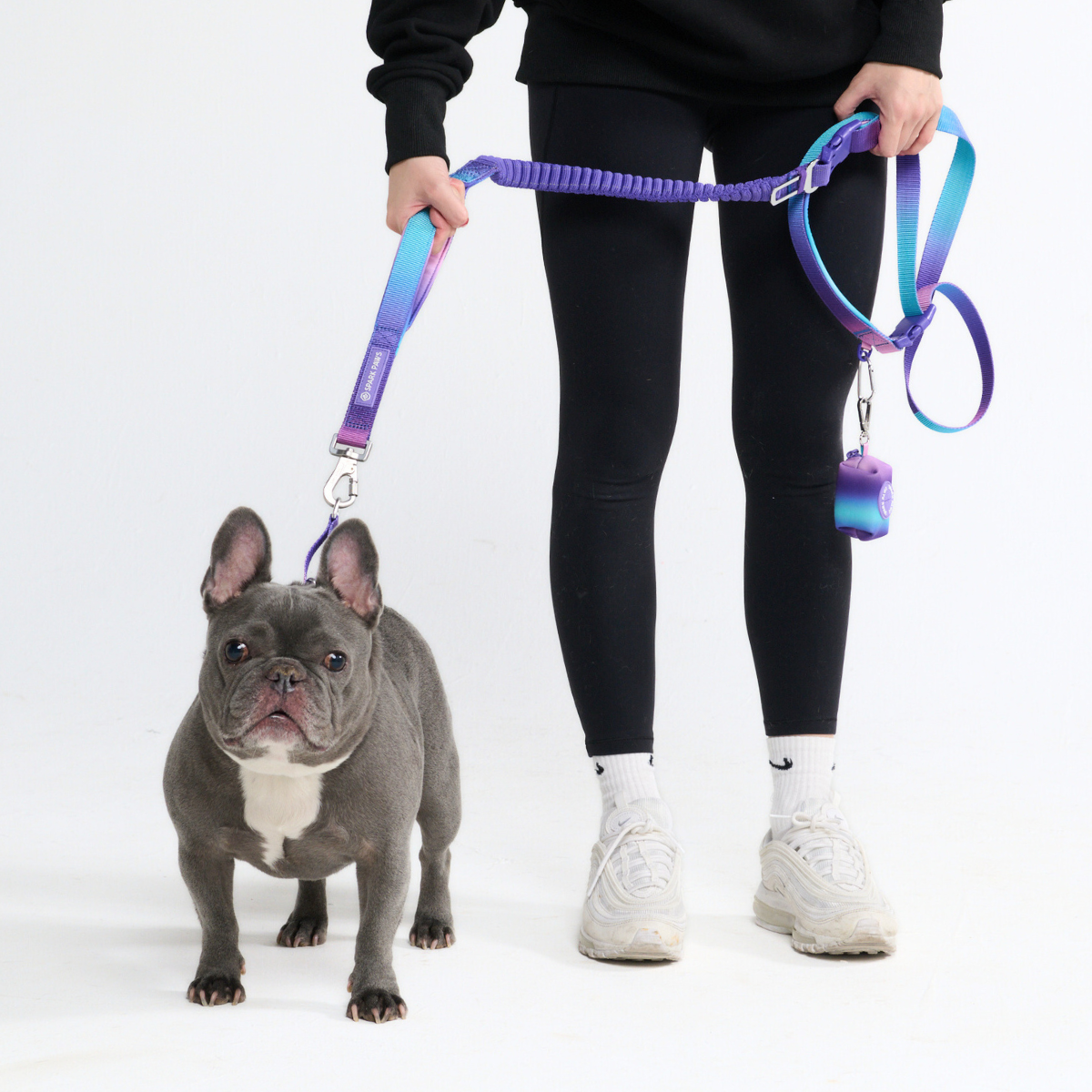 Multipurpose Seatbelt Handsfree Leash & Poop Bag Holder Set