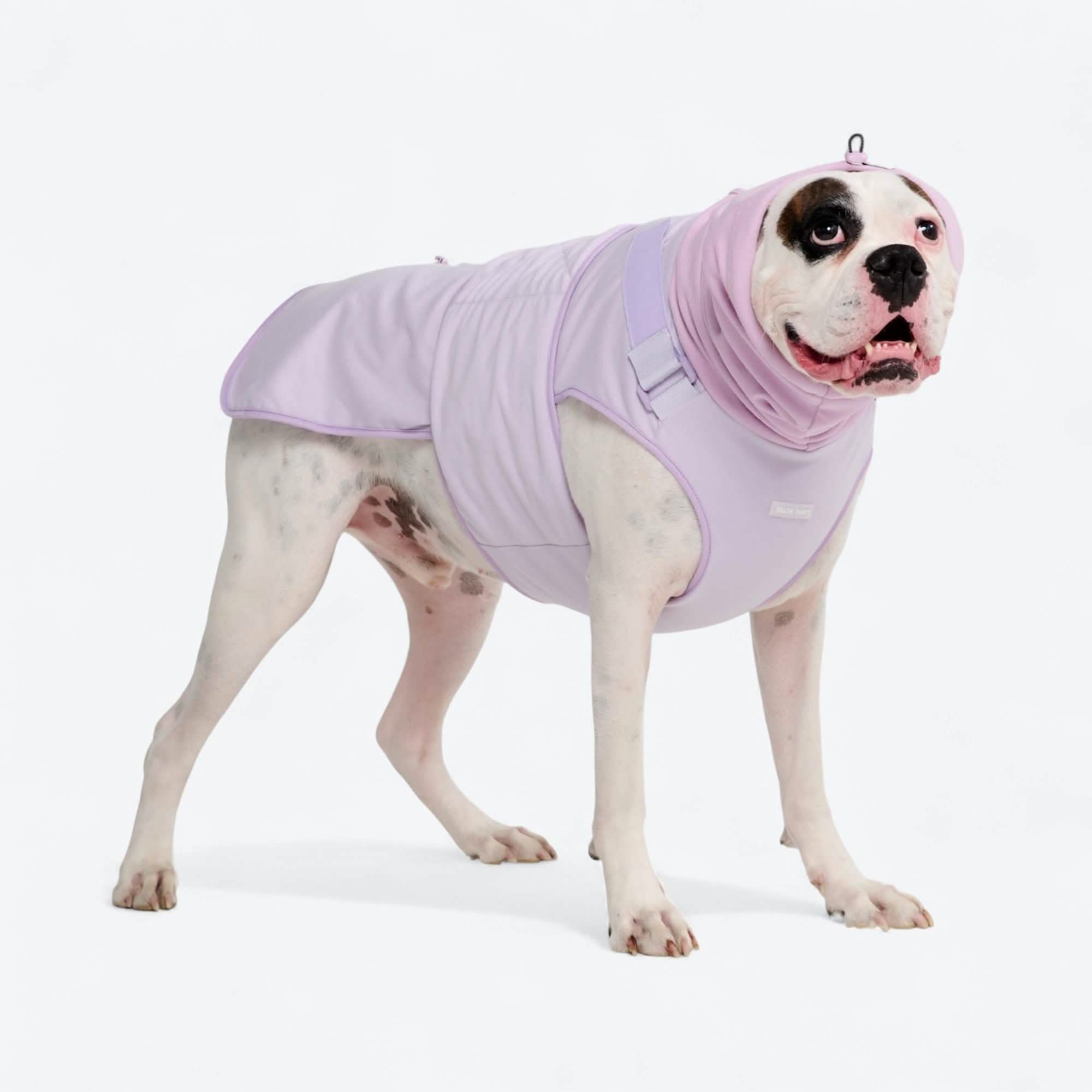 Anxiety Calming Suit