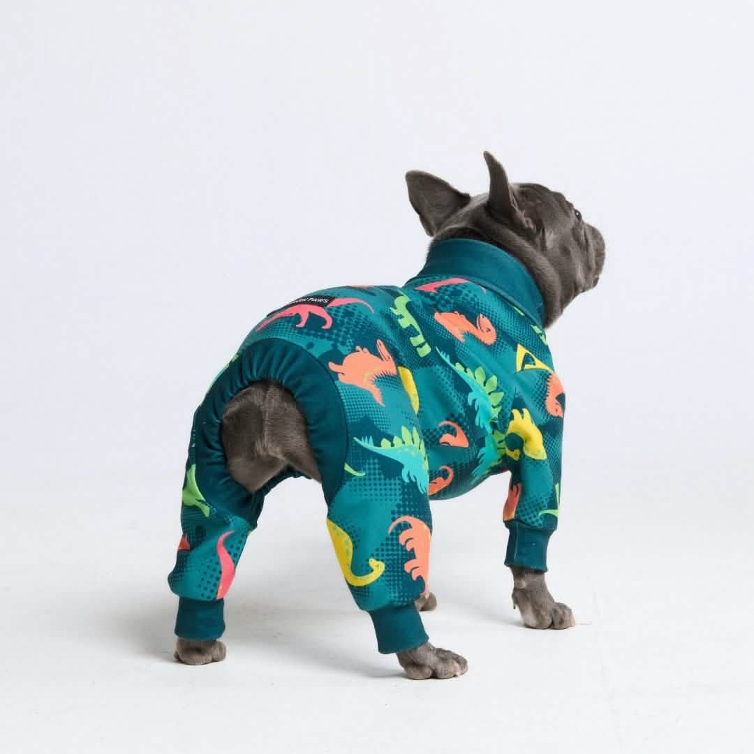 Dog Pajama Prints