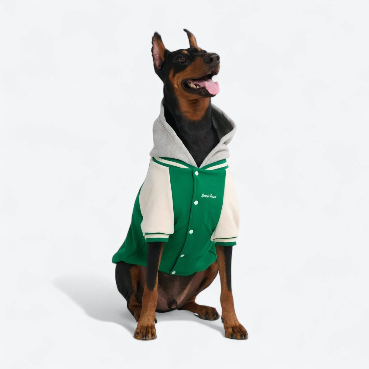 Dog Varsity Jacket - Green
