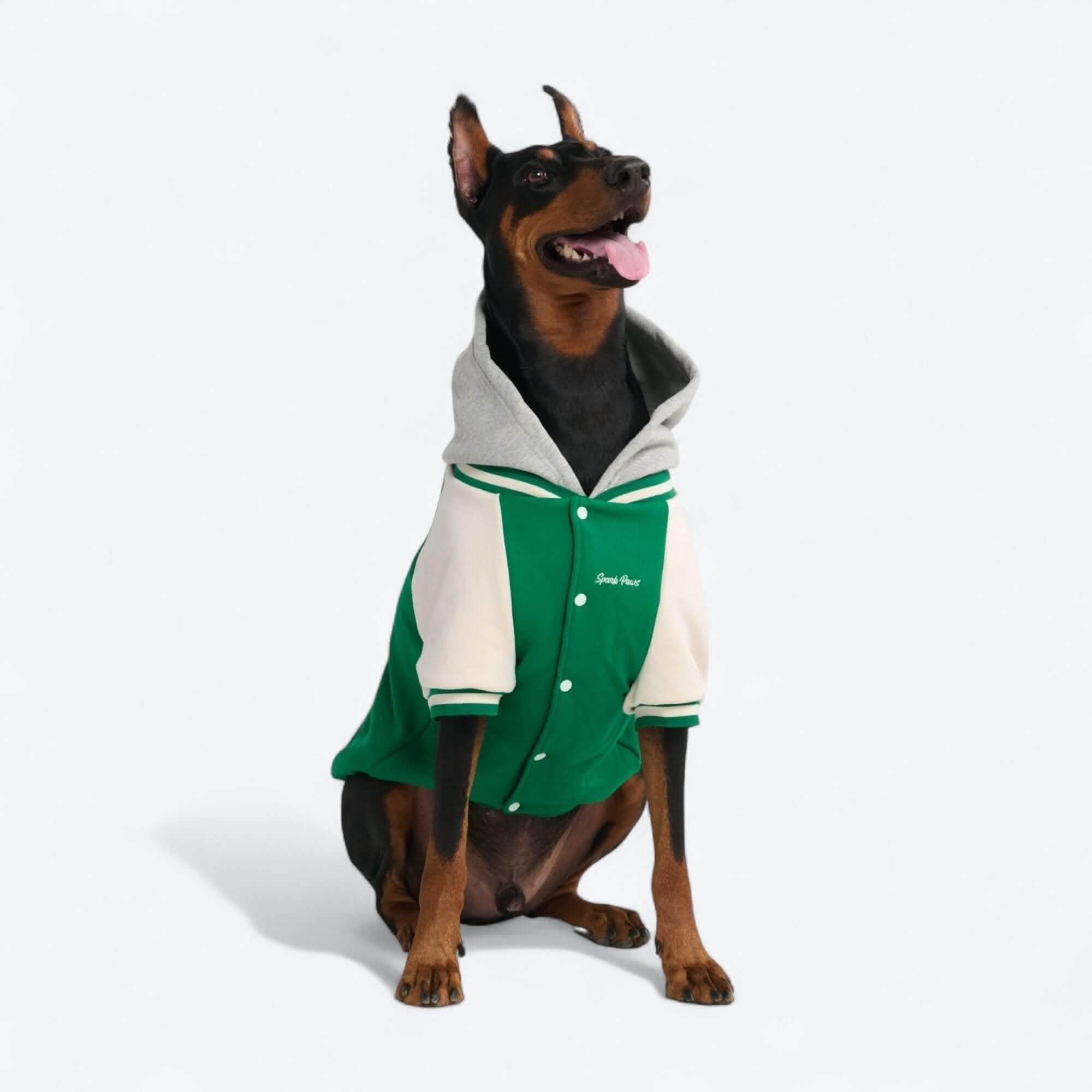 Dog Varsity Jackets