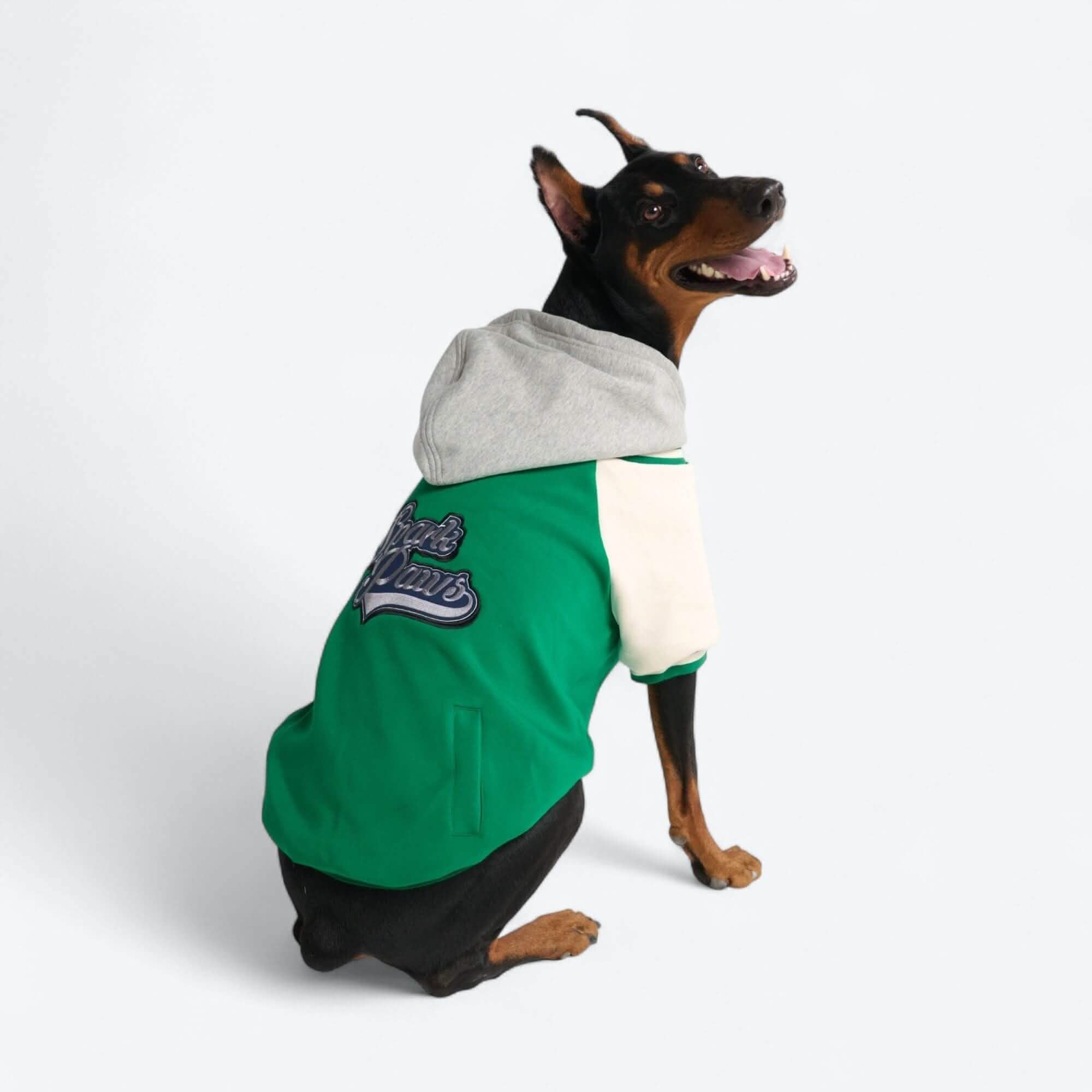 Dog Varsity Jackets