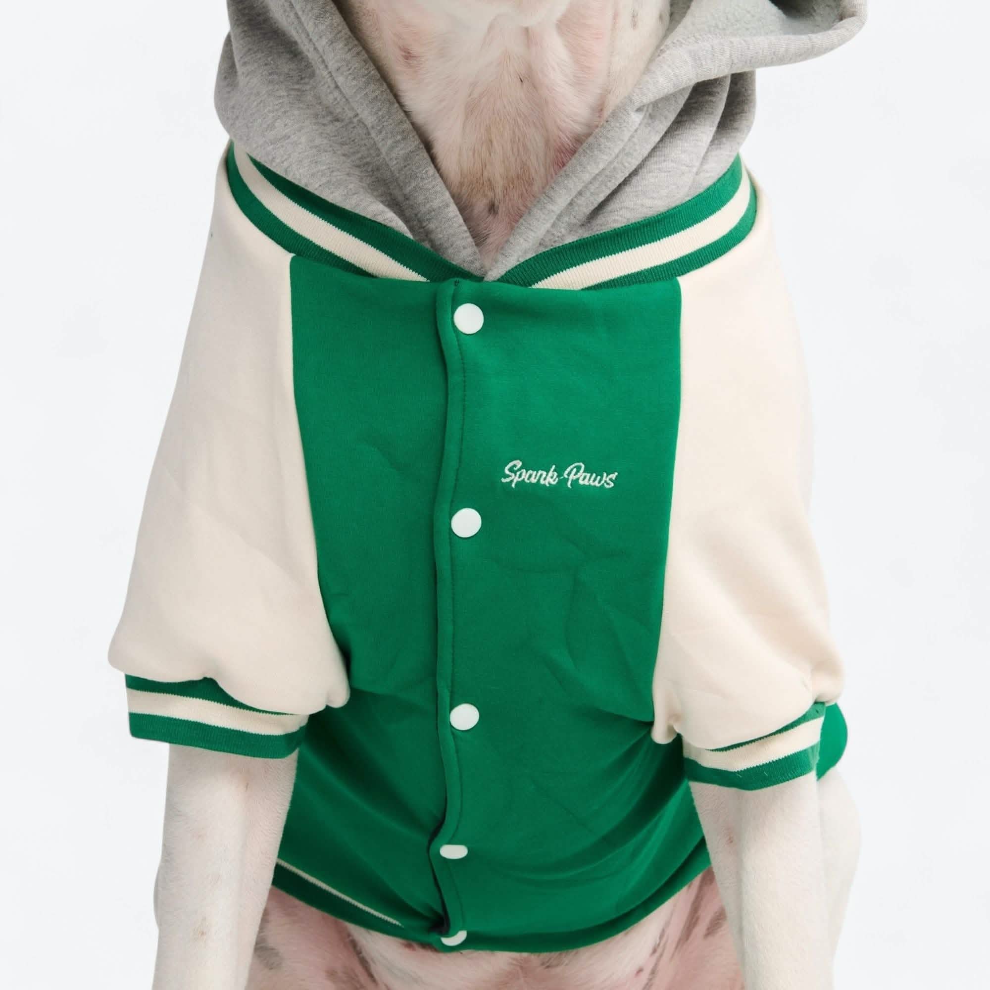 Dog Varsity Jacket - Green
