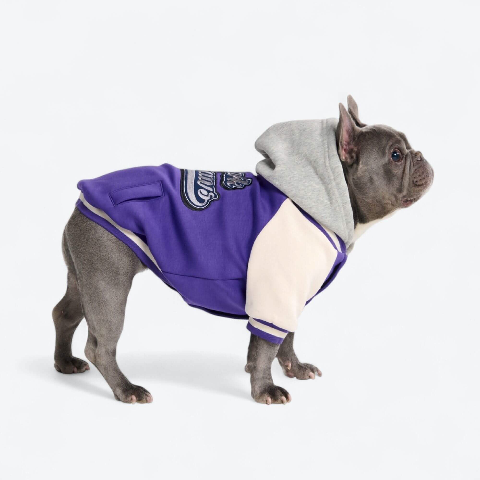 Dog Varsity Jackets