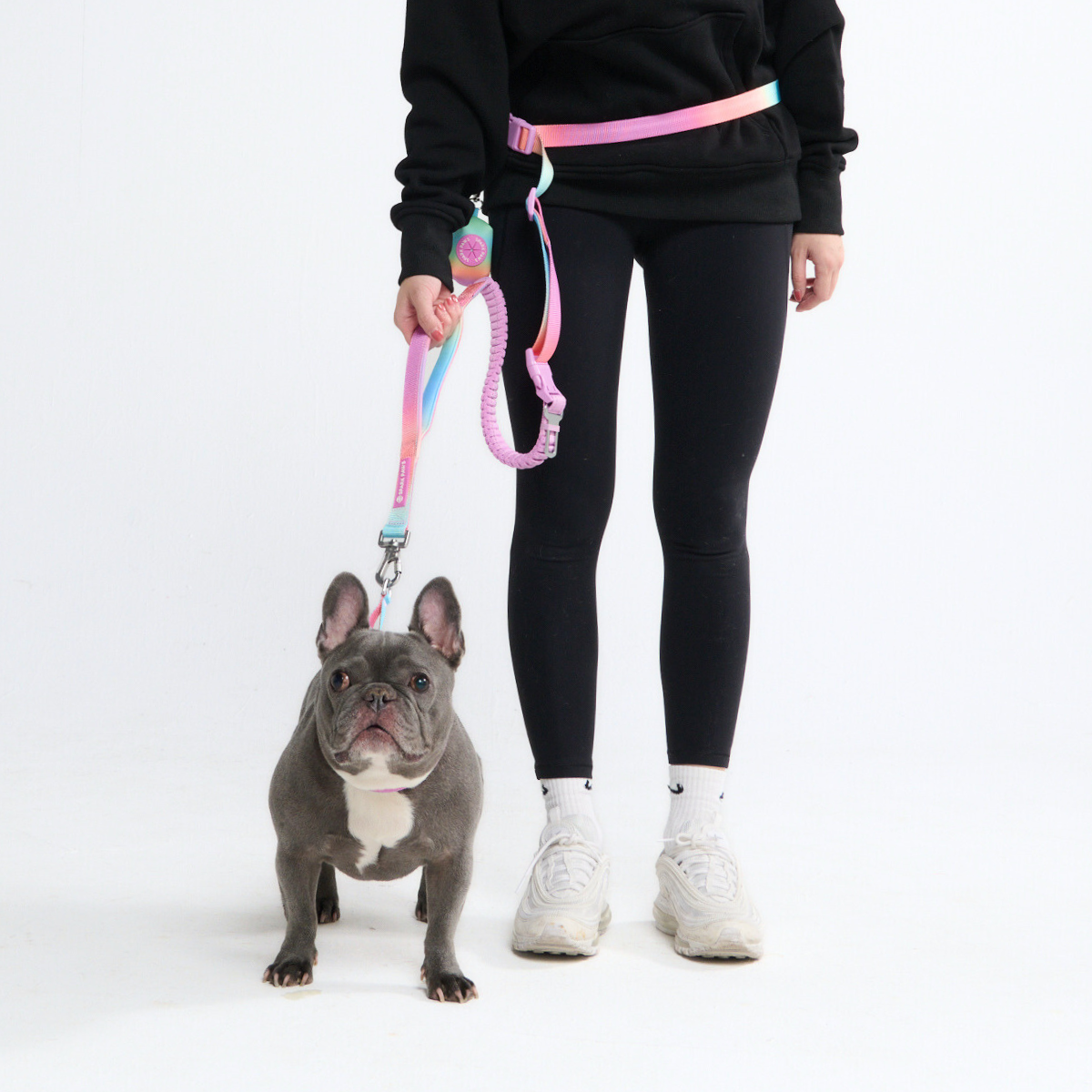 Multipurpose Seatbelt Handsfree Leash & Poop Bag Holder Set