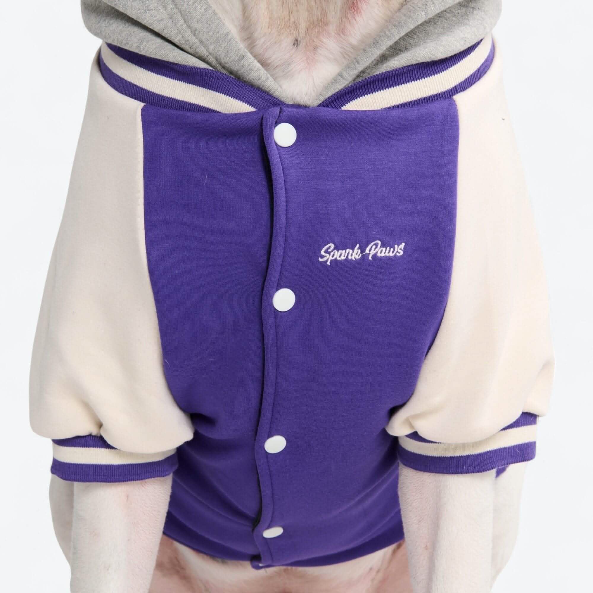 Dog Varsity Jackets