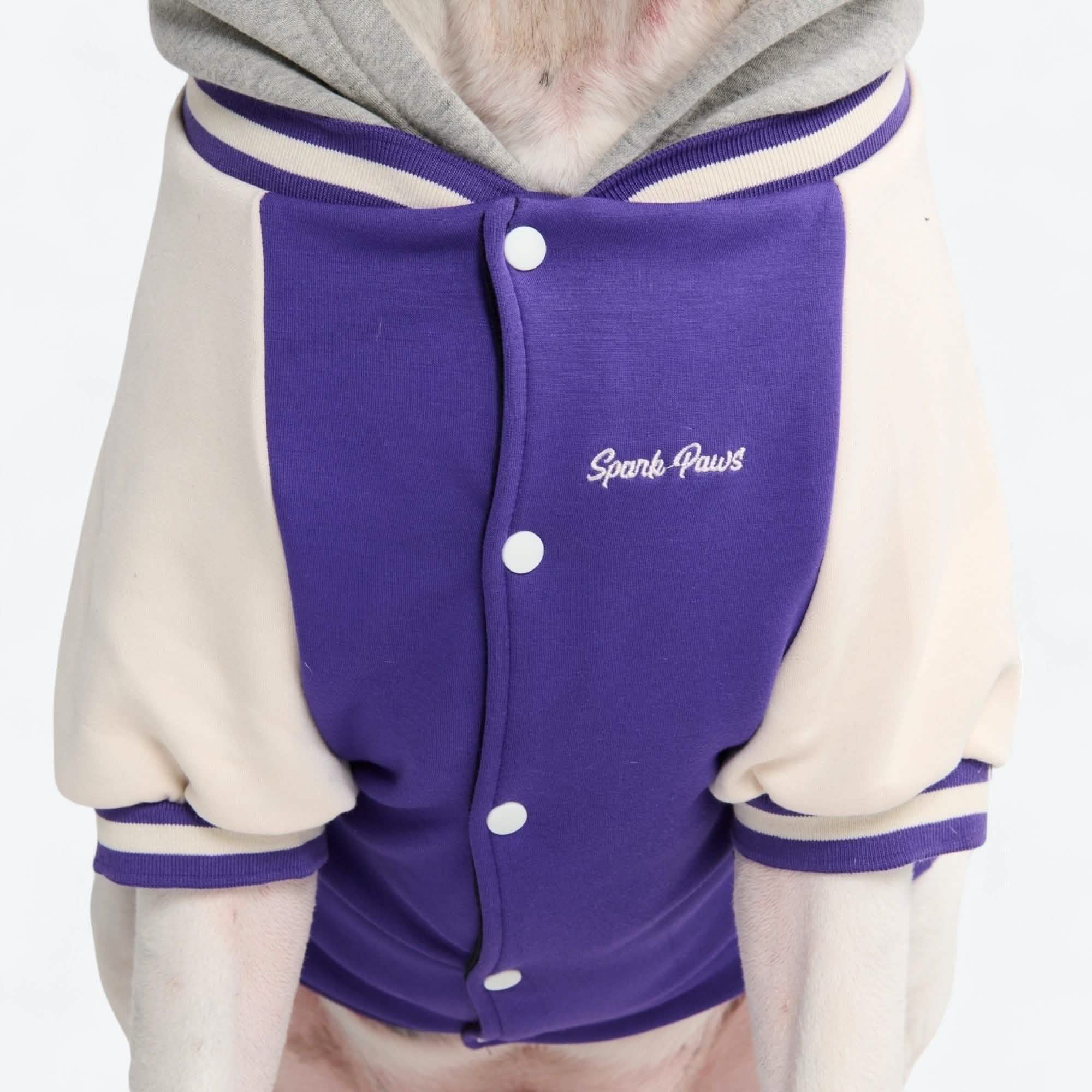 Dog Varsity Jacket - Purple