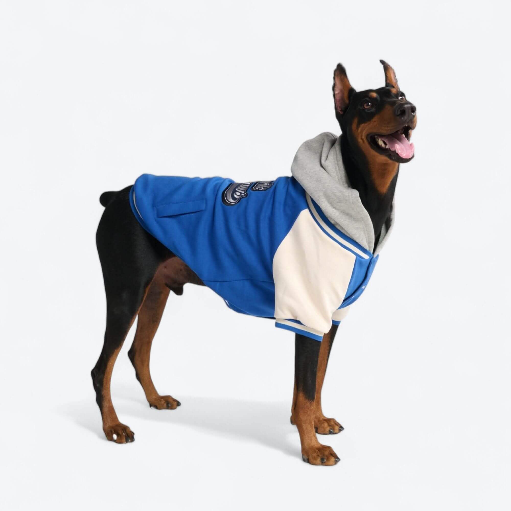 Dog Varsity Jackets