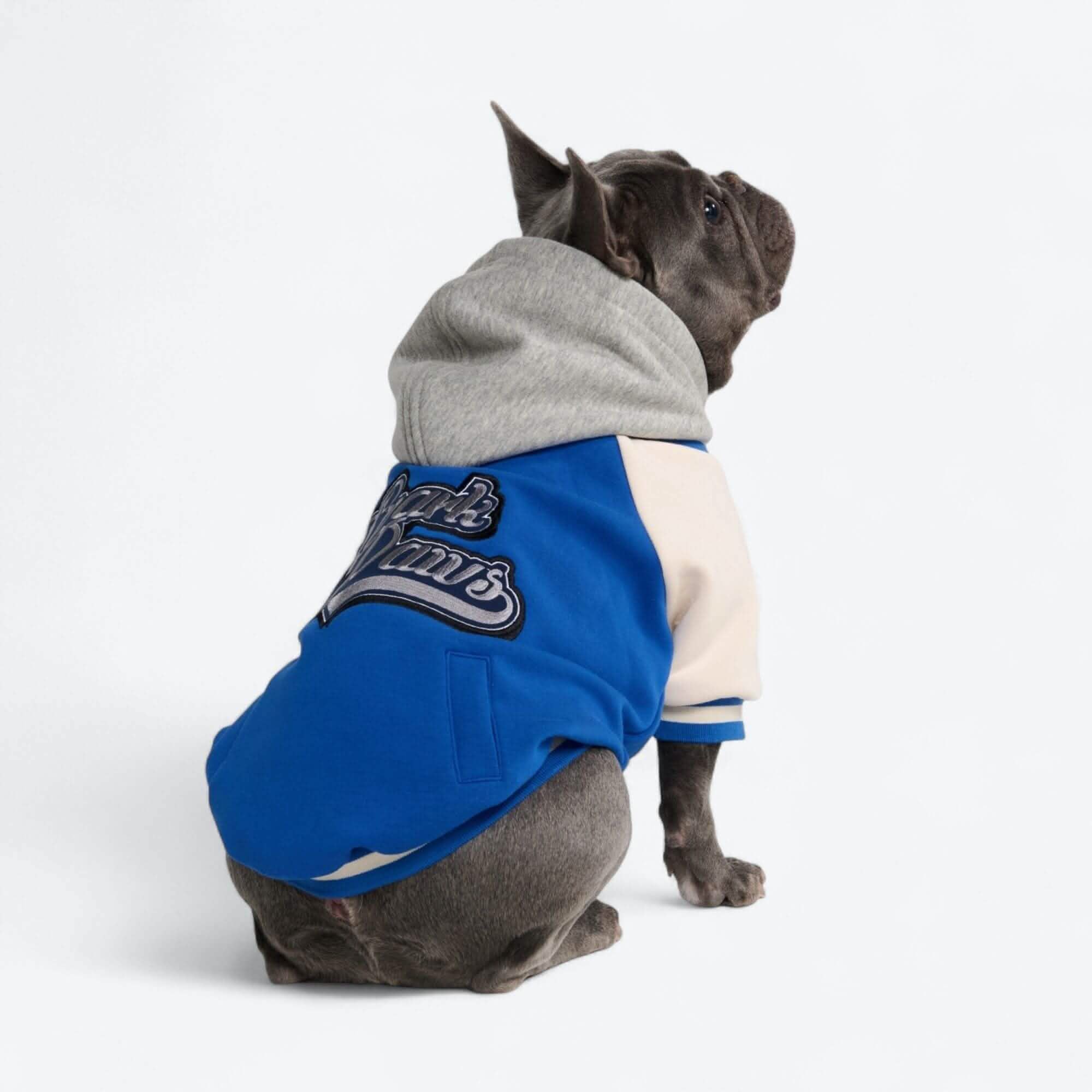 Dog Varsity Jackets