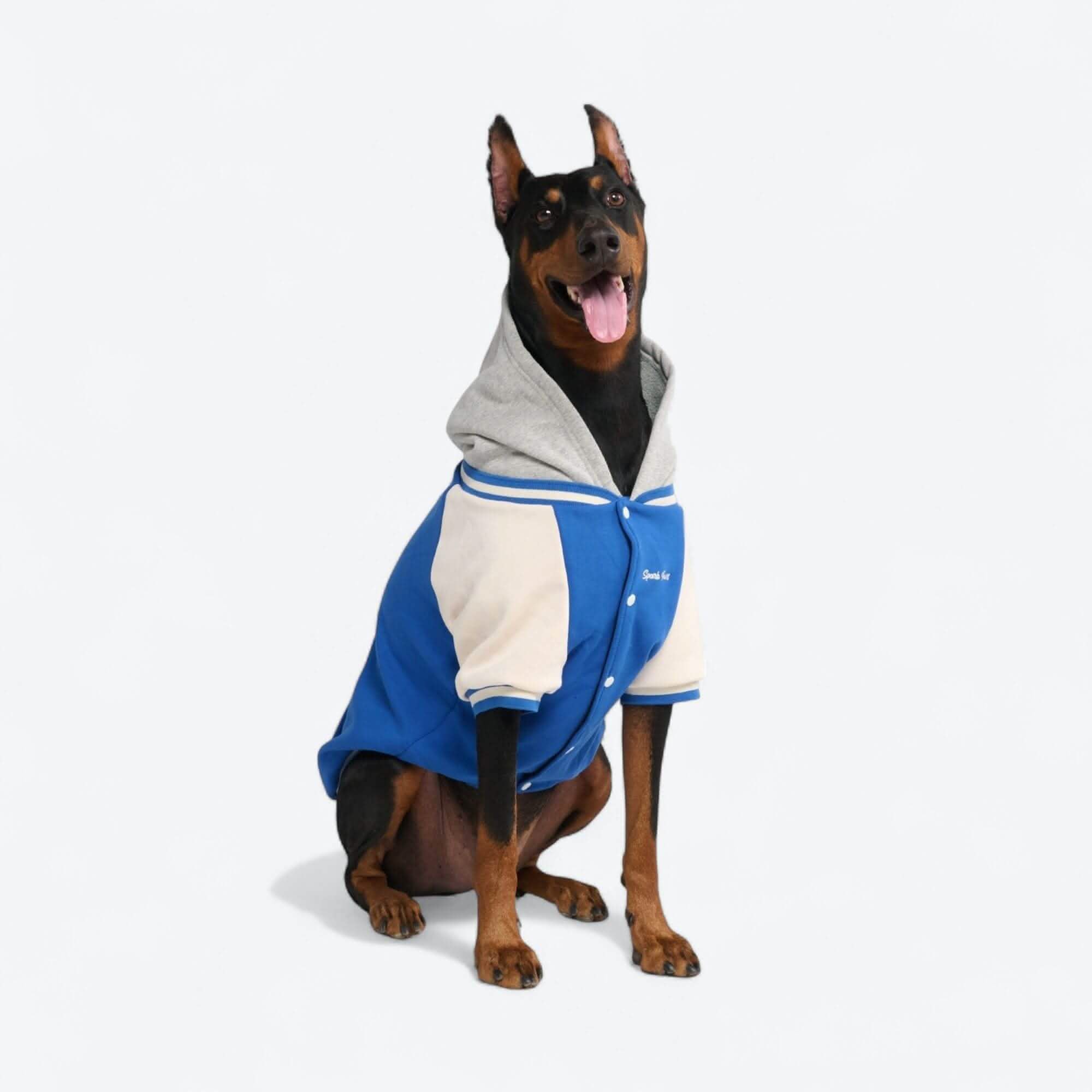 Dog Varsity Jackets