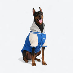 Dog Varsity Jacket - Blue